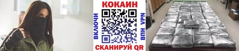 Cocaine FishScale как найти наркотики Богородск