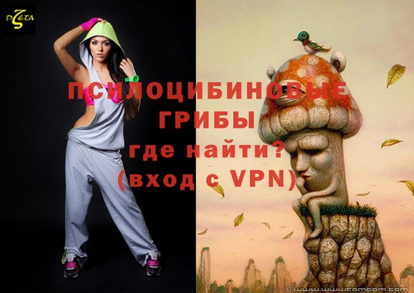 твердый Алексин