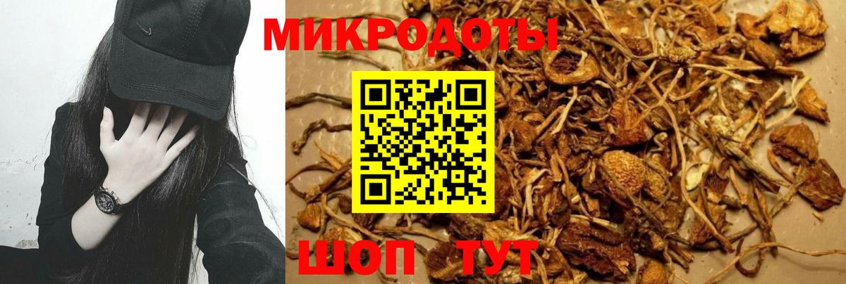 Псилоцибиновые грибы мицелий Богородск